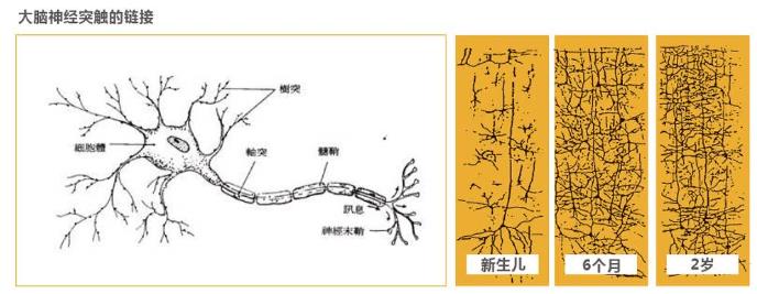 微信截图_20230807141032.jpg